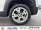2015 Jeep Renegade Limited