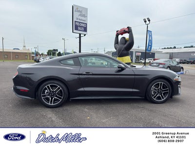 2022 Ford Mustang EcoBoost
